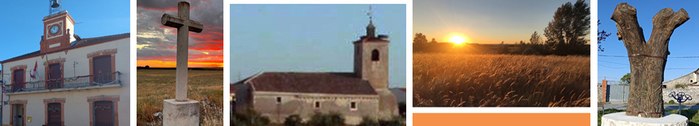 Banner de cabecera